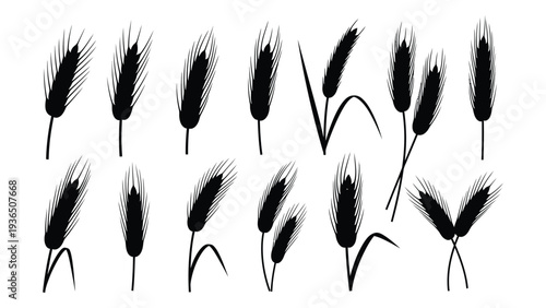 A group of cattails on a white background