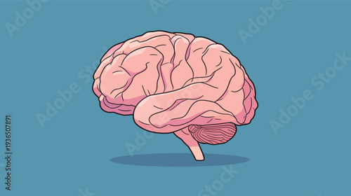A drawing of a brain is shown against a blue background, highlighting its shape and details without any other objects present.