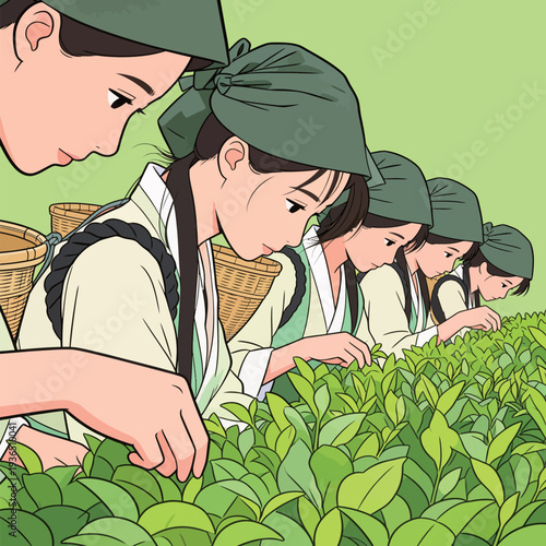 Women gather tea leaves in a field. They wear hats and use baskets to collect the leaves in a rural environment.