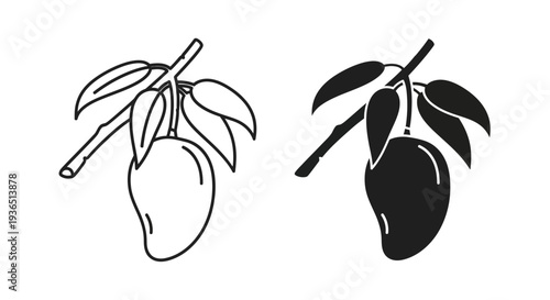 Two mango illustrations one outlined and one solid a striking silhouette