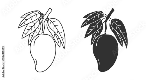 Two mango illustrations one light and one dark in silhouette