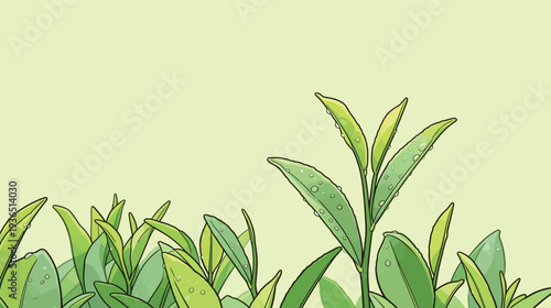 Green tea leaves grow in a garden. Water droplets rest on the leaves after light rain. Sunshine brightens the scene.
