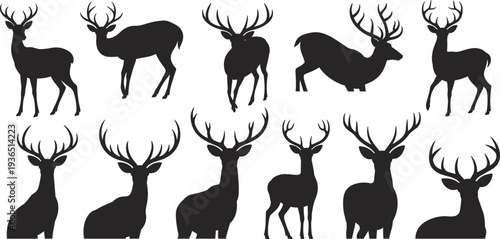 Professional wildlife set of 11 deer shapes for nature and woodland design