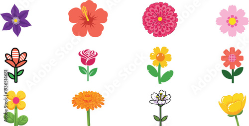 A vibrant collection of 12 colorful flowers in various styles and hues