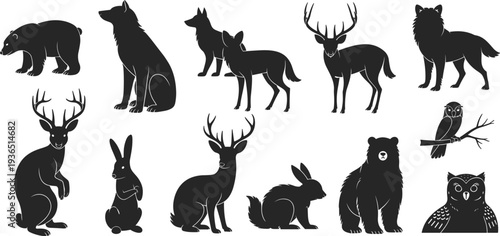 Professional wildlife set with diverse nocturnal and woodland animal shapes