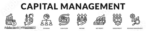 Capital management banner focused on structured allocation, liquidity control, and sustainable profit governance in Lineal Icon Style