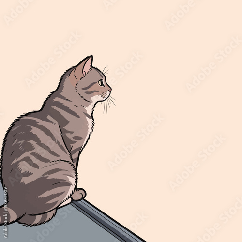 A cat sits on a ledge and looks towards a plain wall in a quiet indoor area during the day.