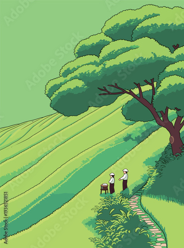Two workers stand on a green hillside near a big tree while looking at the fields on a bright day in the countryside.