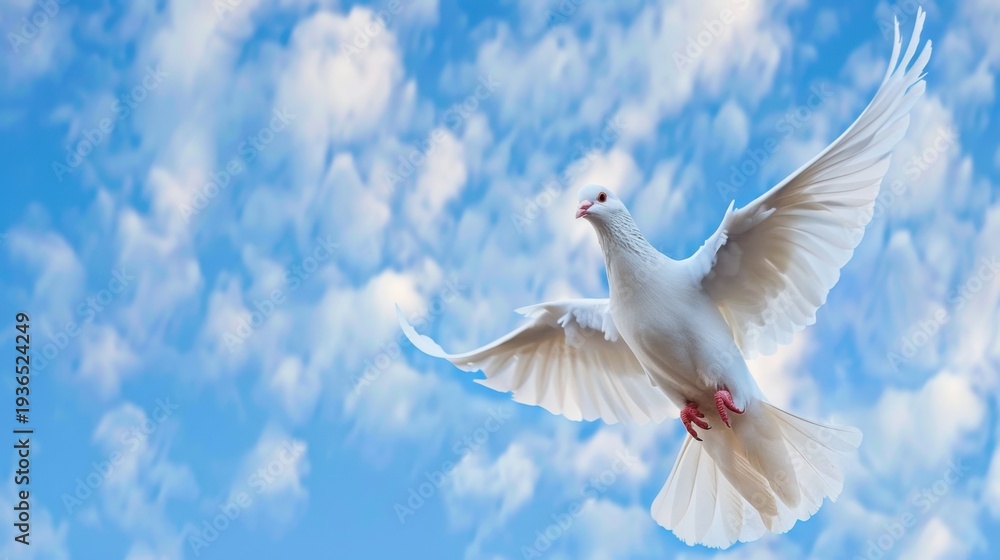 Fototapeta premium White dove flying gracefully against a backdrop of blue sky and fluffy clouds conveying peace and freedom in nature