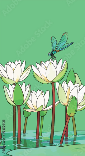 A dragonfly sits on a white water lily flower above a small pond during the day in a green environment.