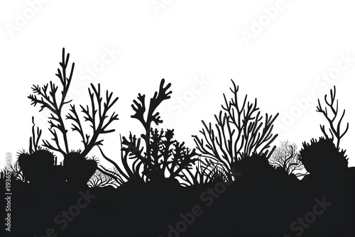 Silhouette of wild shrubs and bushes at dusk with dramatic backlight minimalist nature landscape background
