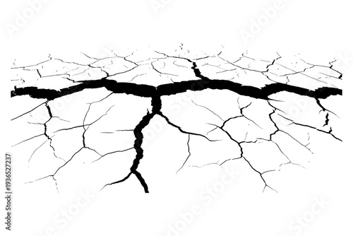 Abstract ground crack pattern in black and white silhouette design