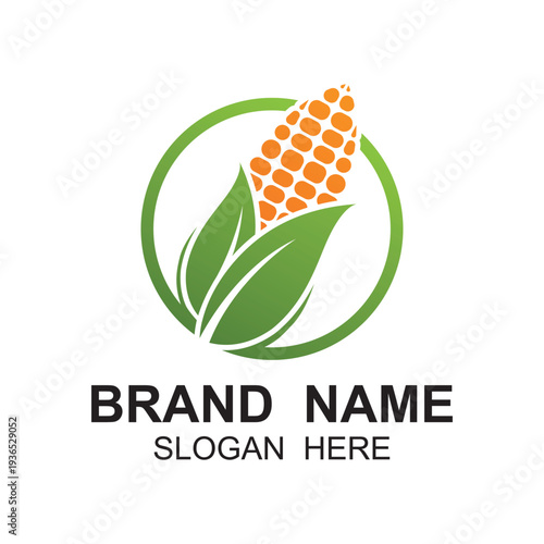sweet corn logo icon vector. Agriculture corn vector icon logo design.