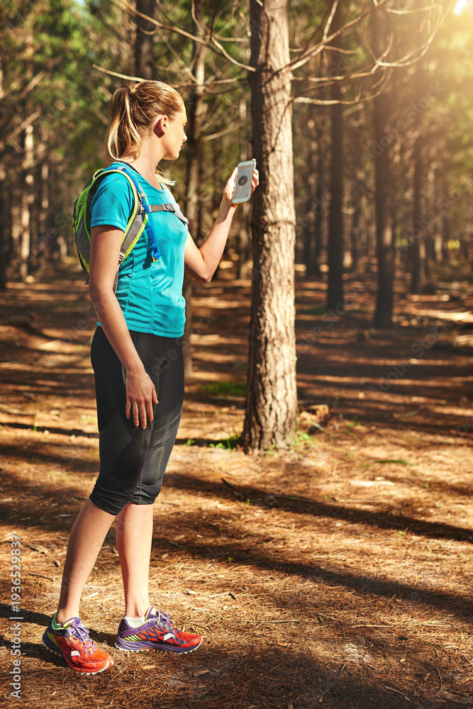 Fototapeta premium Woman, fitness and checking with phone for compass, hiking direction or location in forest. Active, female person or runner with mobile smartphone or tracking app in woods for trekking path or route