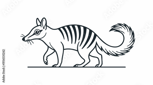 Illustration of a Numbat, a striped marsupial native to Australia, walking on a line