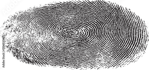 Black fingerprint ridges on white background fingerprint pattern