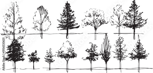 Collection of black ink trees on white background black and white