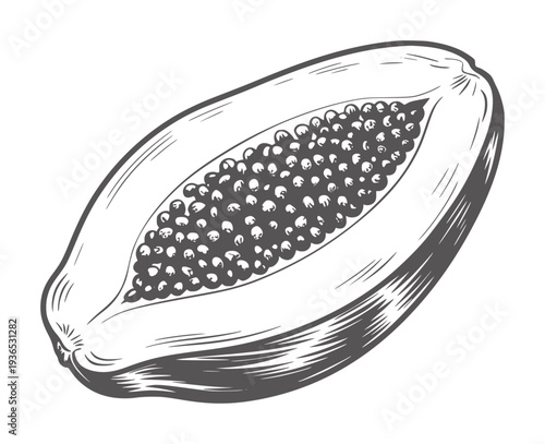 Black and white line of a halved papaya fruit with seeds