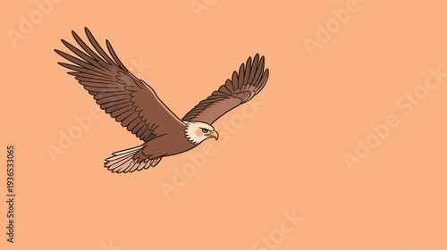 An eagle is soaring in the sky with its wings spread wide and a simple background. The scene shows daytime light and clarity.