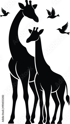 Two giraffes and three birds in a savannah scene illustration silhouette  animals in wildlife setting