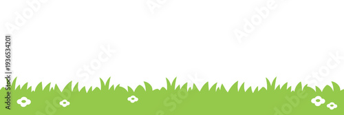 Green grass with white flowers on bottom border isolated on white background