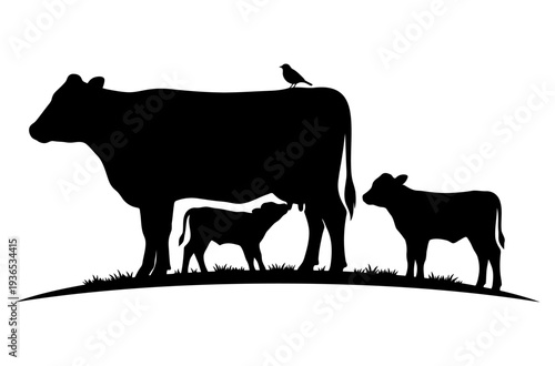 Cattle family silhouette on hill with cow and calves