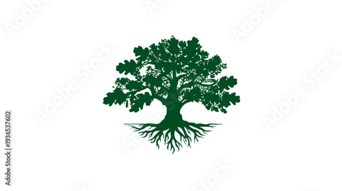 Strong green oak tree with roots silhouette illustration on white background, symbolizing nature, growth, and stability