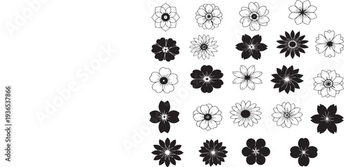 Collection of black and white floral patterns and designs