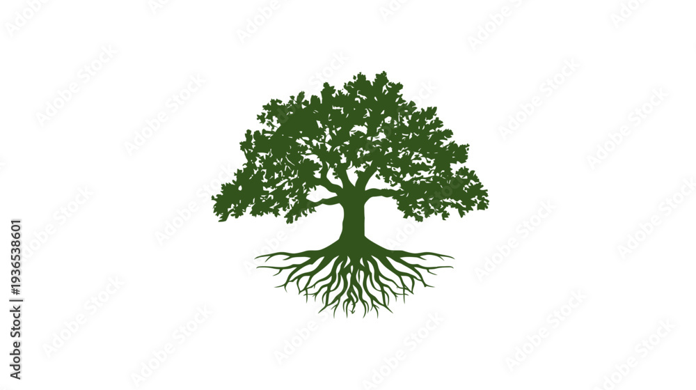 Obraz premium Detailed green silhouette of an old, strong oak tree with deep, visible roots. Symbol of nature, life, growth, and stability, isolated on white.