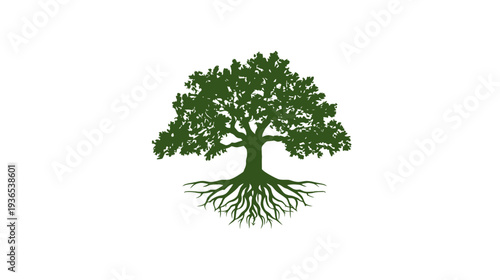 Detailed green silhouette of an old, strong oak tree with deep, visible roots. Symbol of nature, life, growth, and stability, isolated on white.
