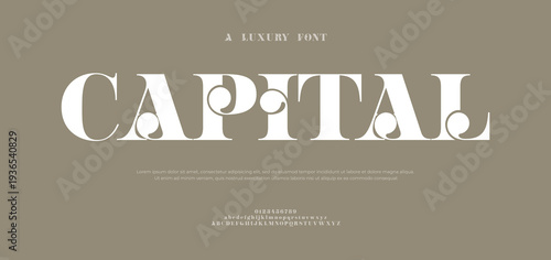 Elegant Uppercase and Lowercase alphabet letters font logo classic minimal fashion designs. Typography modern sans fonts and number for logo brand. vector illustration
