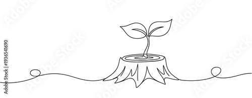 Tree stump sprouting small seedling representing regrowth in nature. No editable stroke