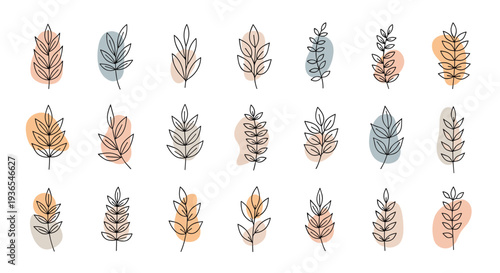 Grid of leaf and branch icons with delicate line art and colorful pastel background blobs is shown for botanical and nature branding.