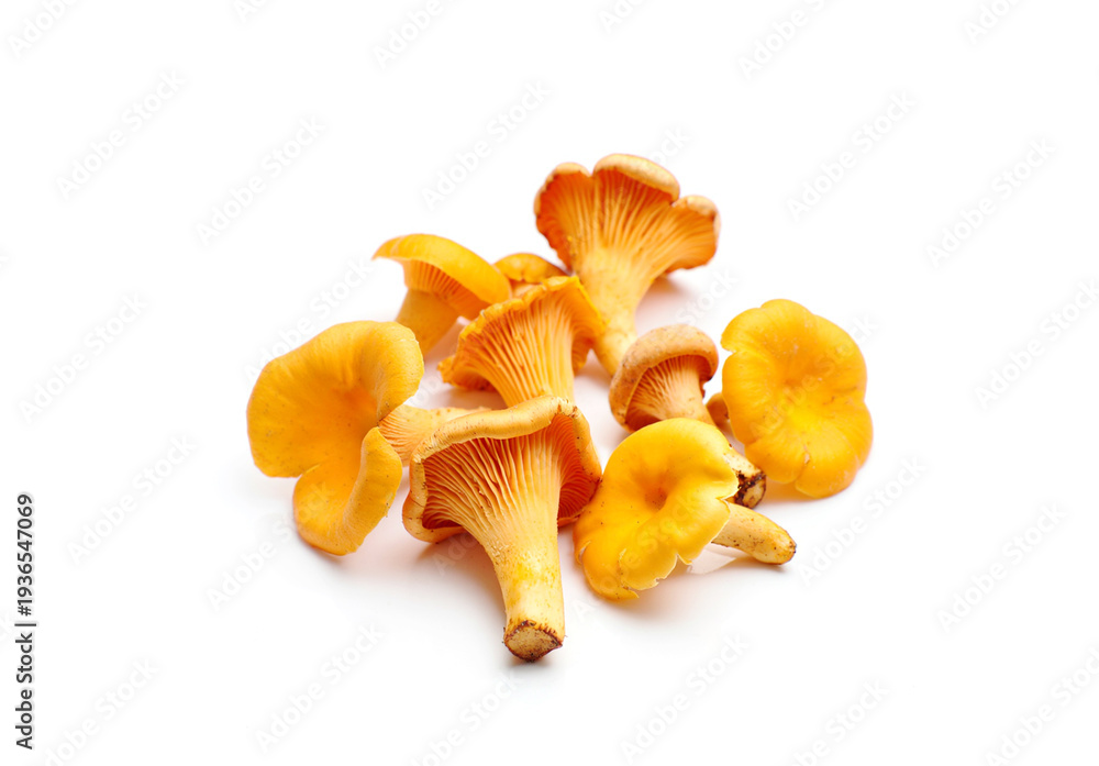 Fototapeta premium Chanterelle mushrooms isolated on white background