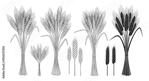 Detailed illustrations of wheat sheaves and grain stalks in various artistic styles including line art and solid silhouettes.