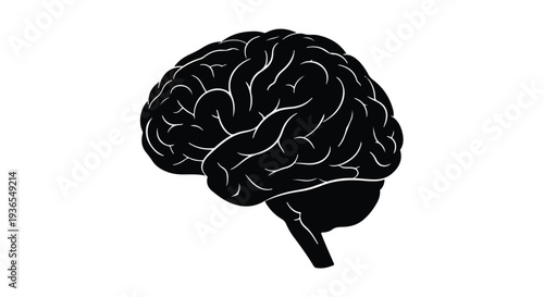 Stylized black and white illustration of a human brain with intricate details.