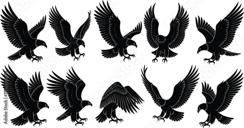Large Collection of Flying Eagle Silhouettes Featuring Various Majestic Birds of Prey in Flight and Hunting Poses Isolated on White