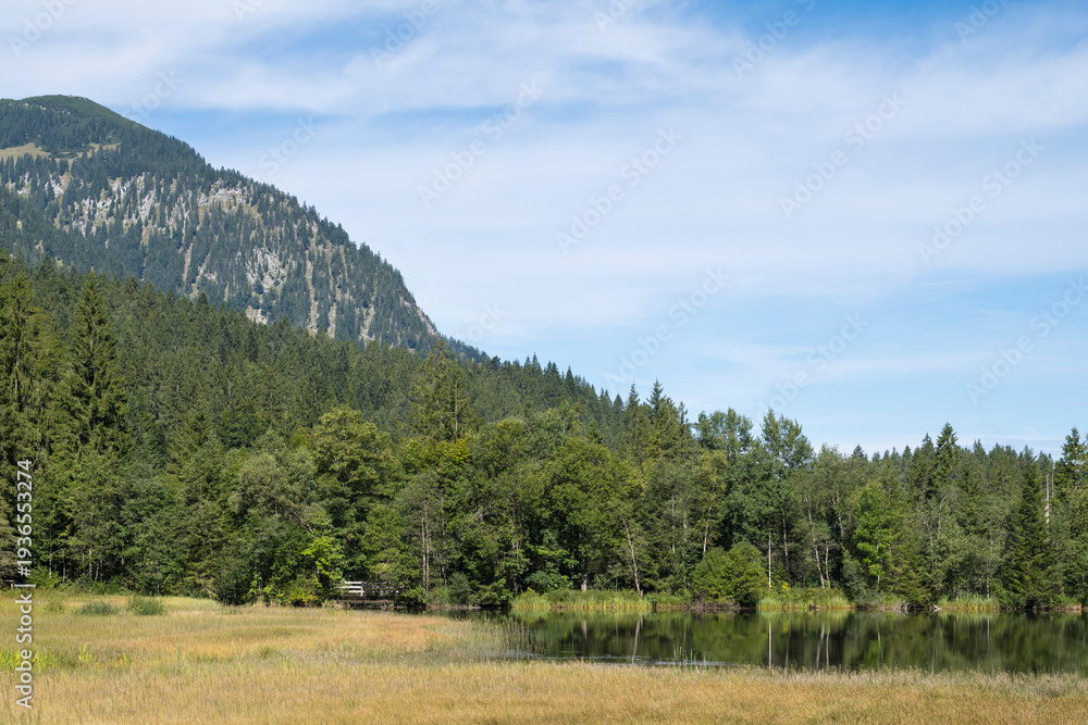 Fototapeta premium Landschaft am Suttensee, Feuchtgebiet, Mangfallgebirge, Rottach-Egern, Oberbayern, Bayern, Deutschland