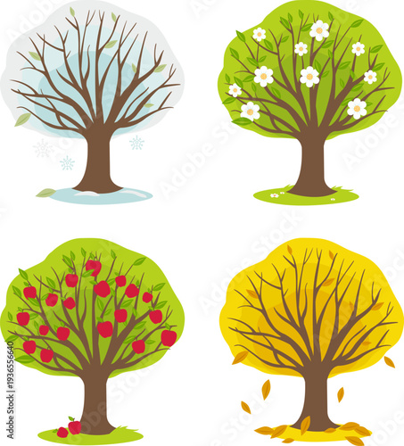 Four seasons in nature. Apple tree in the farm or garden in winter, spring, summer and autumn. Set of fruit orchard trees with snow, flowers, falling leaves and fruit. Vector Illustration