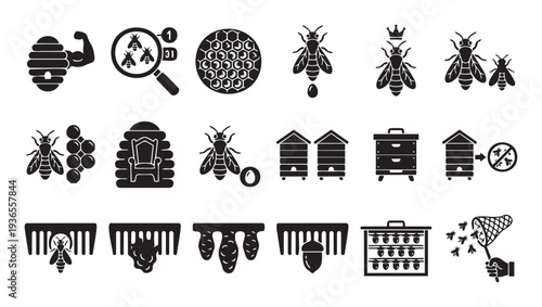 Comprehensive set of black and white beekeeping icons illustrating honey bee life cycle, hive components, and apiculture practices perfect for educational infographics and informational