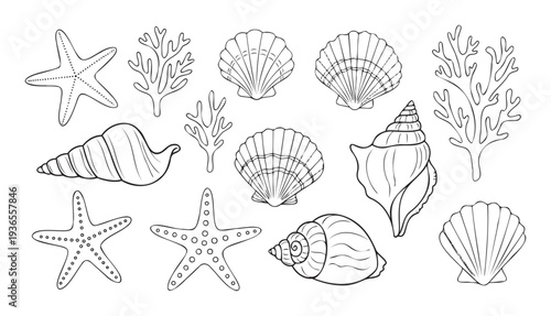 Collection of outlined starfish conch shells scallop shells and branching corals ideal for coloring books educational materials and decorative print projects