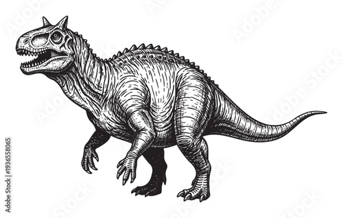 Prehistoric Carnotaurus dinosaur with sharp teeth and distinctive horns portrayed in a bold graphic woodcut style, ideal for education, merchandise, and historical wildlife designs