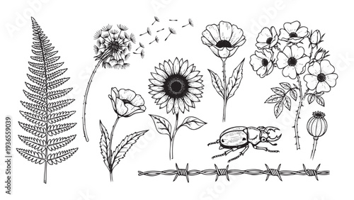 Collection of hand drawn nature elements including dandelion, sunflower, poppy, rose, fern, beetle, and barbed wire, perfect for vintage inspired apparel, posters, or graphic projects.