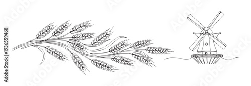 Stylized black and white line drawing depicting a collection of ripe wheat ears alongside a classic Dutch style windmill, perfect for agricultural themed packaging and traditional food