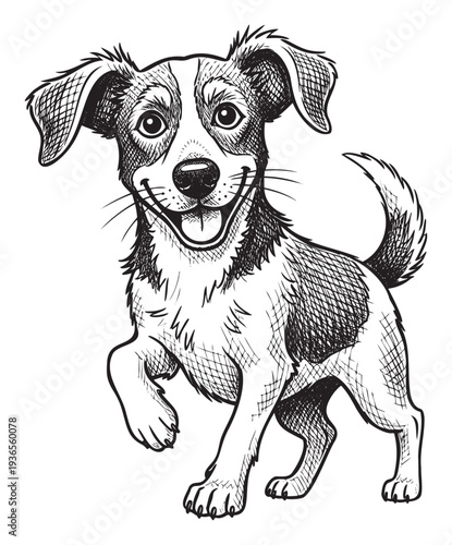 Lively happy puppy dog with floppy ears and spots raising its paw, ideal for pet care product packaging, veterinary clinic brochures, or heartwarming animal themed educational materials