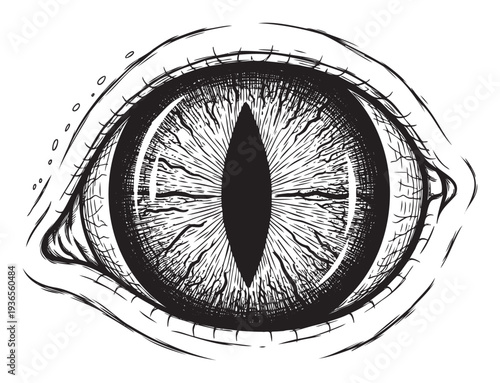 Close up view of a fierce reptilian or dragon eye with a vertical pupil, perfect for horror movie posters, fantasy book covers, or mythical creature designs