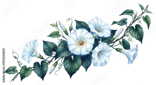 White Magnolia and Blue Leaf Watercolor Floral Bouquet