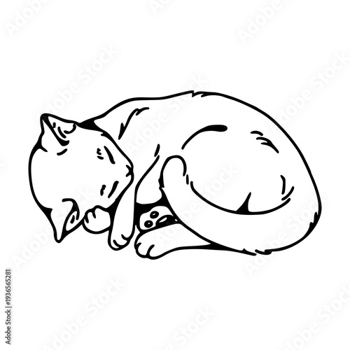 peaceful feline resting sketch hand drawn outline