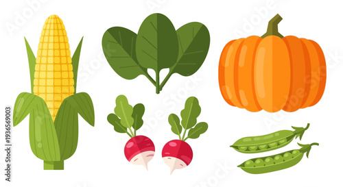 Assorted vegetables and fruits including corn, spinach, pumpkin, radish, and peas in a vibrant illustration