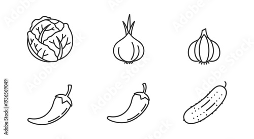 Cabbage, onion, garlic, and chili peppers illustration on a clean background from a straightforward viewpoint